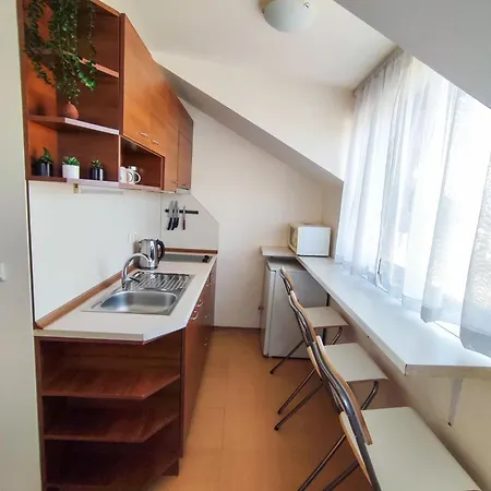 Cozy Nest Mountain View 3 Min Walk To Gondola * Bansko