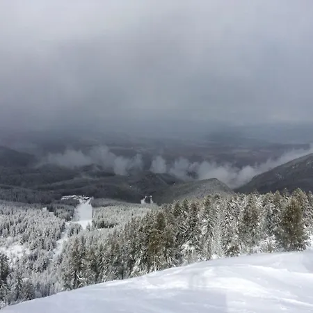 Cozy Nest Mountain View 3 Min Walk To Gondola Apartment *