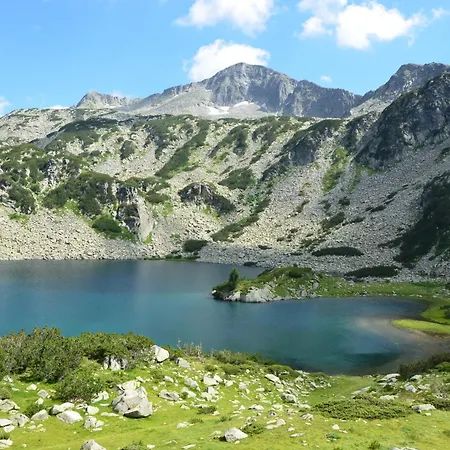Cozy Nest Mountain View 3 Min Walk To Gondola Apartment